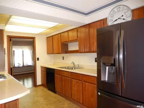 111 Mallard Ln, Anna, IL 62906 photo 11
