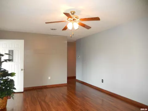111 Mallard Ln, Anna, IL 62906 photo 10
