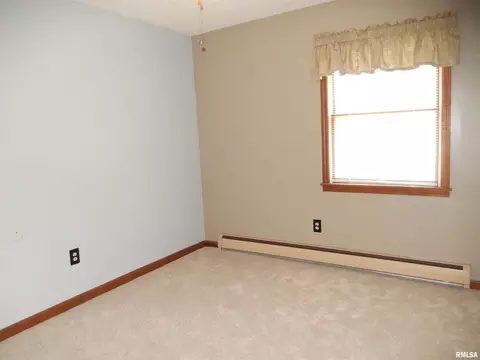 111 Mallard Ln, Anna, IL 62906 photo 22