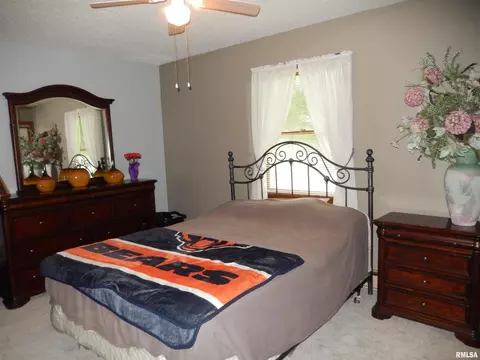 111 Mallard Ln, Anna, IL 62906 photo 20
