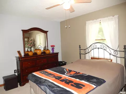 111 Mallard Ln, Anna, IL 62906 photo 19