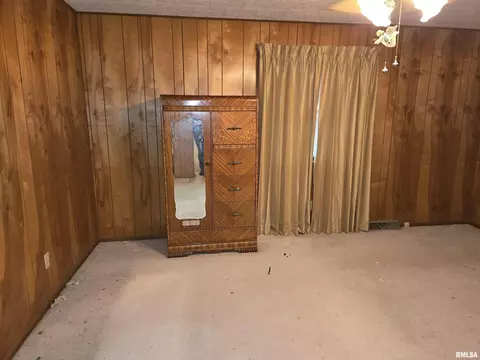 225 Cedar, Centralia, IL 62801 photo 6