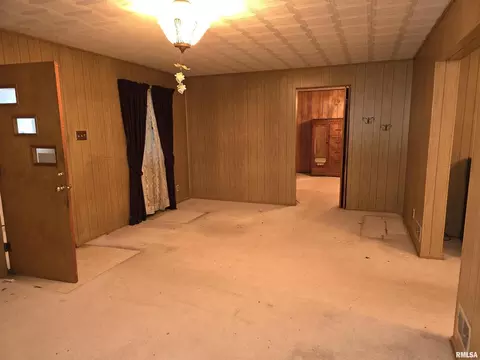 225 Cedar, Centralia, IL 62801 photo 13