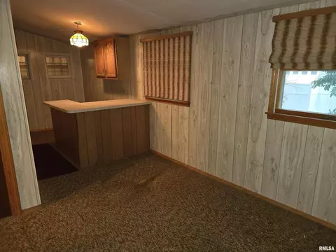 225 Cedar, Centralia, IL 62801 photo 11