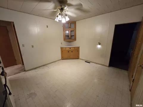 225 Cedar, Centralia, IL 62801 photo 9