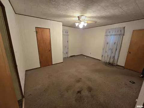 225 Cedar, Centralia, IL 62801 photo 7