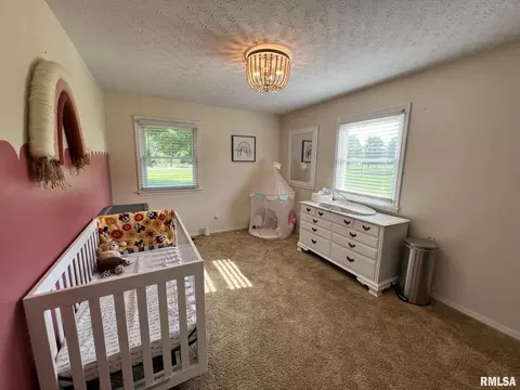 11575 E Radisson Rd, Mount Vernon, IL 62864 photo 8
