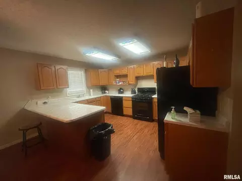 206 E Burley St, Valier, IL 62891 photo 20