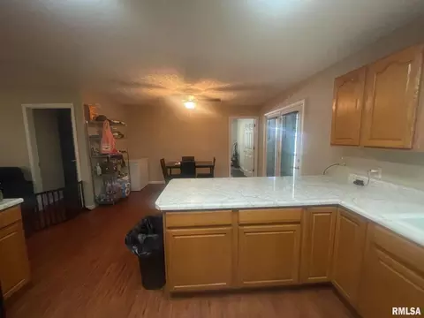 206 E Burley St, Valier, IL 62891 photo 19