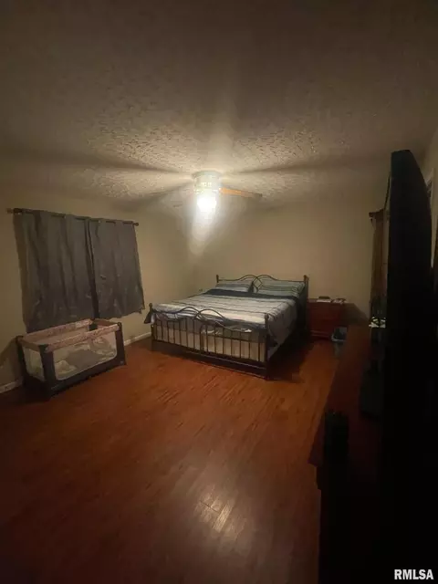 206 E Burley St, Valier, IL 62891 photo 26