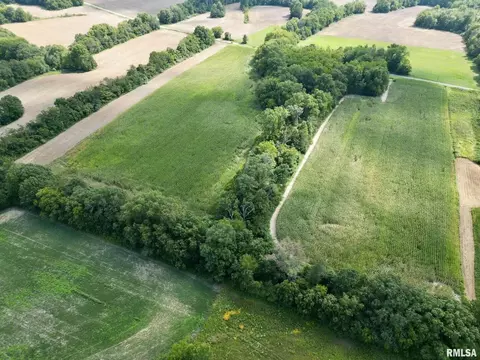000 Silence Rd, Bluford, IL 62814 photo 8