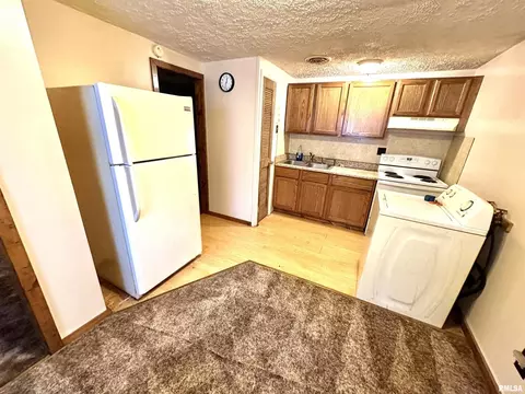317 E Green St, Centralia, IL 62801 photo 3