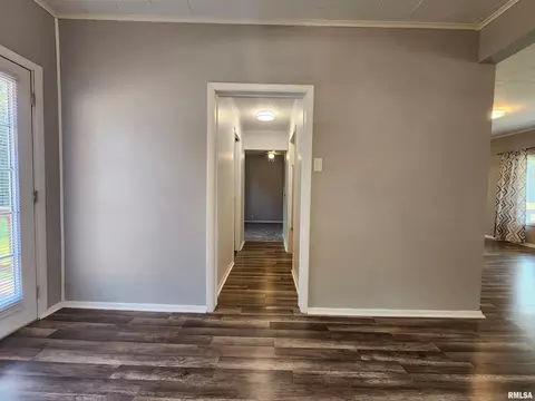 220 W Pulley St, Hurst, IL 62949 photo 19
