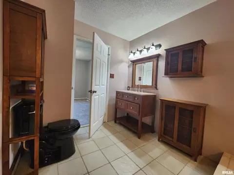220 W Pulley St, Hurst, IL 62949 photo 27