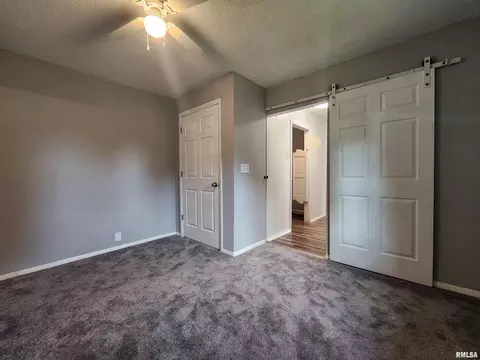 220 W Pulley St, Hurst, IL 62949 photo 22