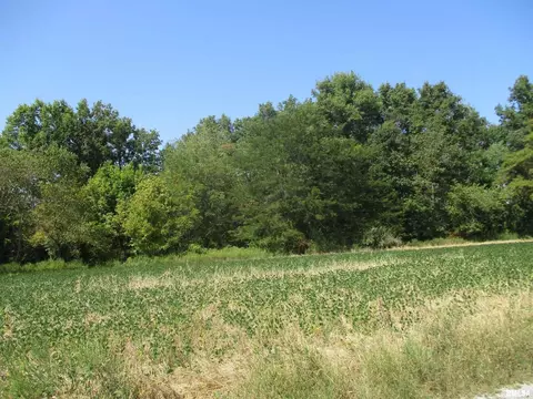 0000 Frisco Rd, Ewing, IL 62836 photo 7