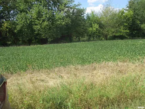 0000 Frisco Rd, Ewing, IL 62836 photo 3