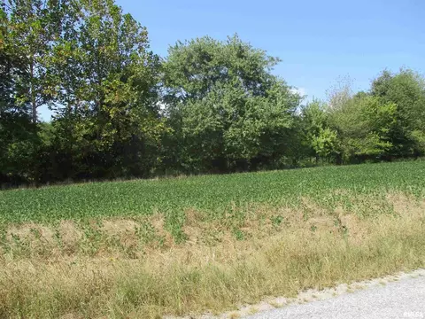 0000 Frisco Rd, Ewing, IL 62836 photo 2