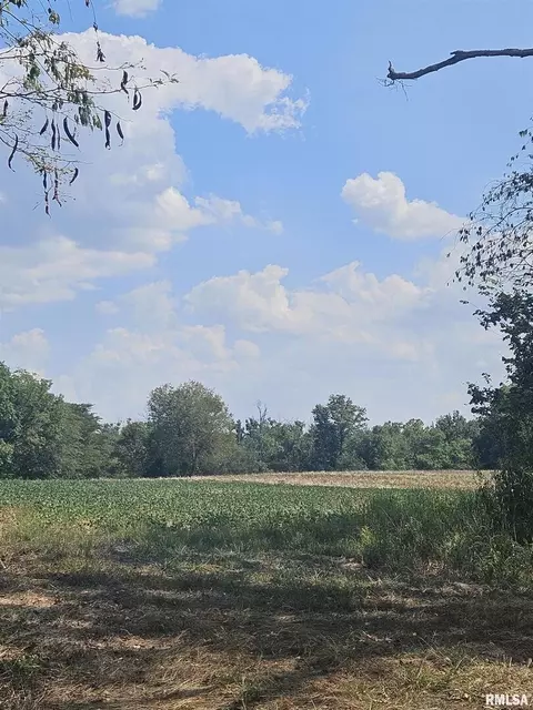 0000 Frisco Rd, Ewing, IL 62836 photo 11