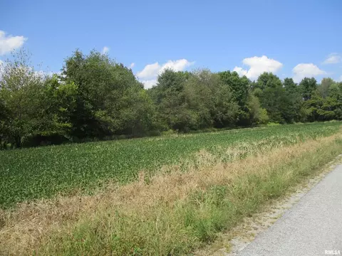 0000 Frisco Rd, Ewing, IL 62836 photo 10