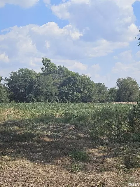 0000 Frisco Rd, Ewing, IL 62836 photo 12