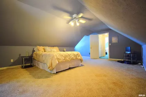 20979 N Boyd Ln, Dix, IL 62830 photo 28