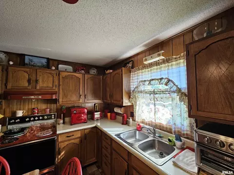 2222 Pine St, Eldorado, IL 62930 photo 9