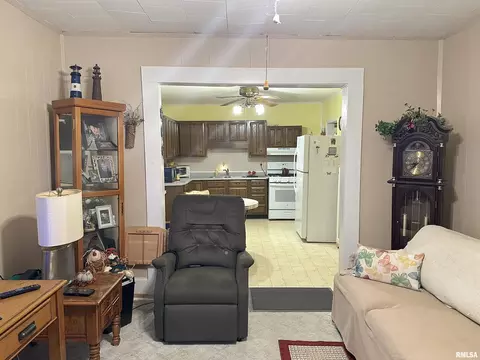 112 Oak St, Cobden, IL 62920 photo 7