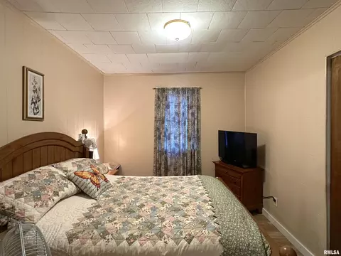 112 Oak St, Cobden, IL 62920 photo 10