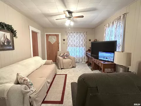 112 Oak St, Cobden, IL 62920 photo 5
