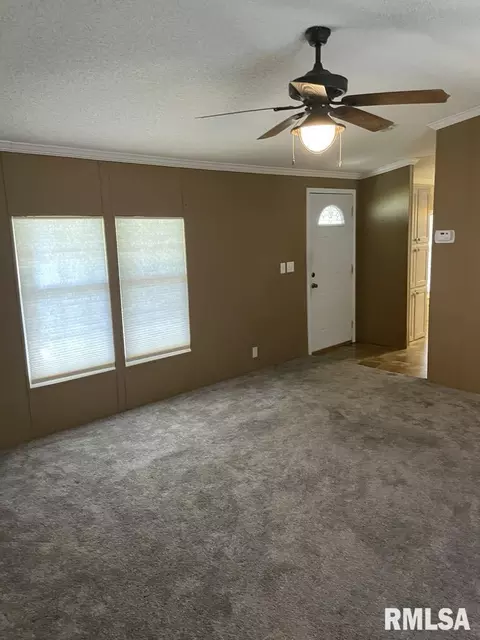 503 E Matthew St, Sesser, IL 62884 photo 10