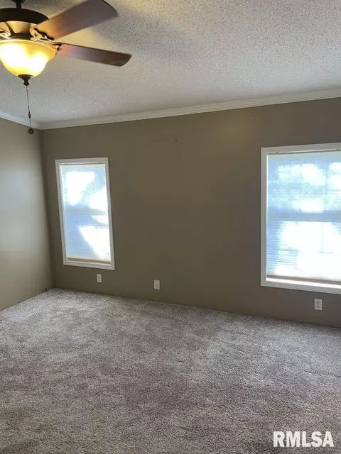 503 E Matthew St, Sesser, IL 62884 photo 16