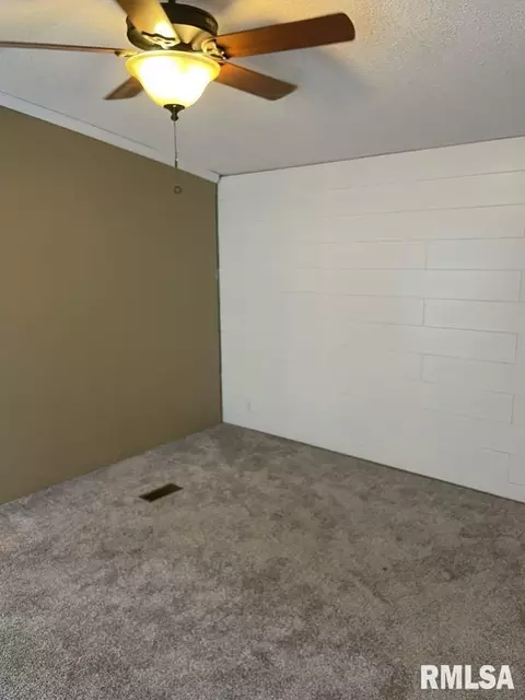 503 E Matthew St, Sesser, IL 62884 photo 17