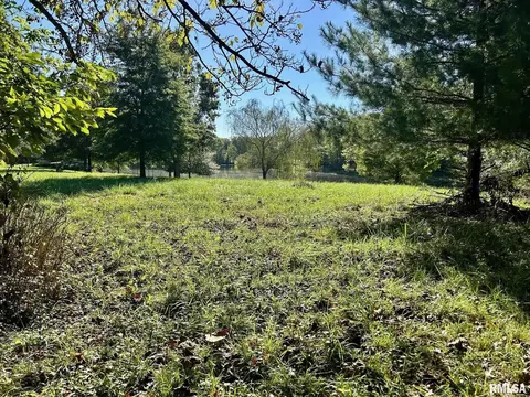 000 Red Cedar Ln, Murphysboro, IL 62966 photo 3