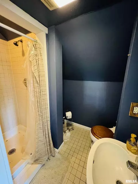 671 2nd St, Omaha, IL 62871 photo 24