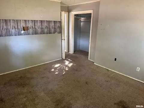 529 E Smith St, Benton, IL 62812 photo 9