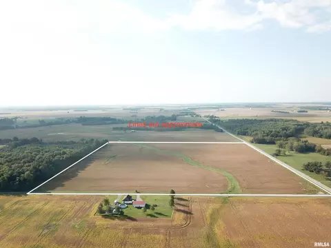 000 Bellflower Ln, Rinard, IL 62878
