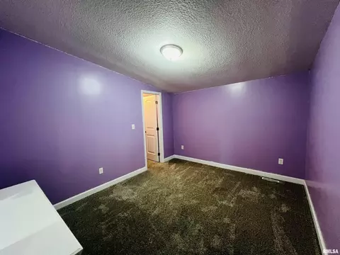 485 Old Broughton Rd, Eldorado, IL 62930 photo 33