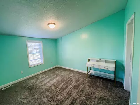 485 Old Broughton Rd, Eldorado, IL 62930 photo 34