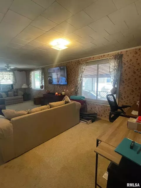 1204 Espy St, Benton, IL 62812 photo 13