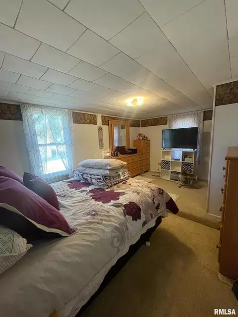 1204 Espy St, Benton, IL 62812 photo 21