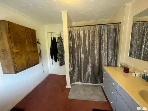 1204 Espy St, Benton, IL 62812 photo 27
