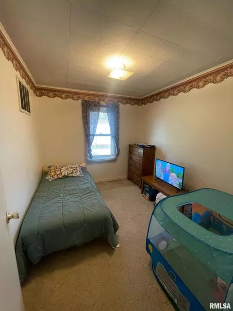 1204 Espy St, Benton, IL 62812 photo 24