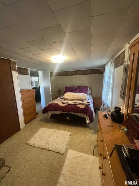 1204 Espy St, Benton, IL 62812 photo 22