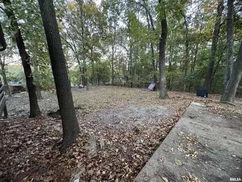 996 Forest Ave, Marion, IL 62959 photo 4