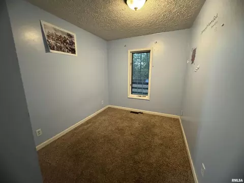 996 Forest Ave, Marion, IL 62959 photo 13