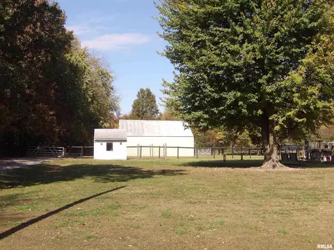 13989 E Cutler St, Benton, IL 62812 photo 37