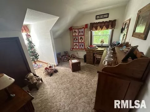 13989 E Cutler St, Benton, IL 62812 photo 11