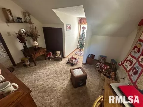 13989 E Cutler St, Benton, IL 62812 photo 12