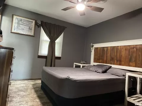 34 Aaron Dr, Christopher, IL 62822 photo 10